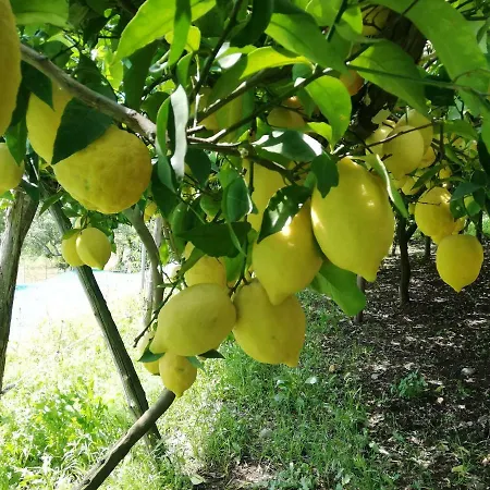 לינה וארוחת בוקר La Roccia Incantata Amalfi Coast