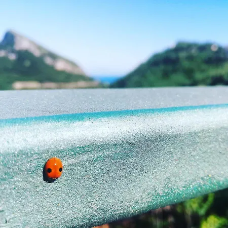 La Roccia Incantata Amalfi Coast Nocleg ze śniadaniem Vietri
